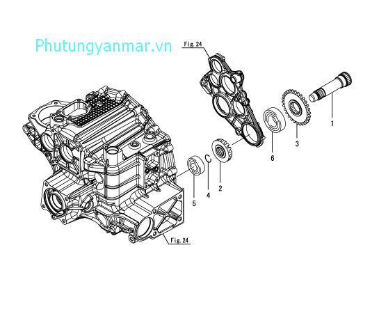 Truyền động sau